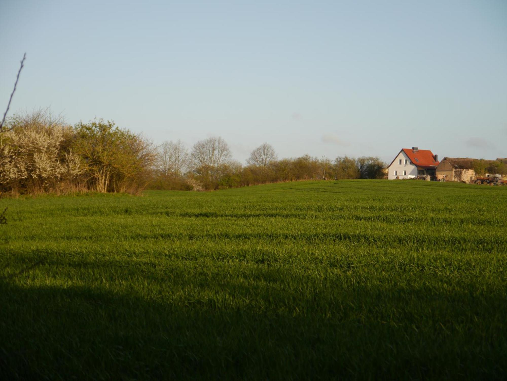 Ferienhaus-Uckermarkblick Rosenow  Buitenkant foto