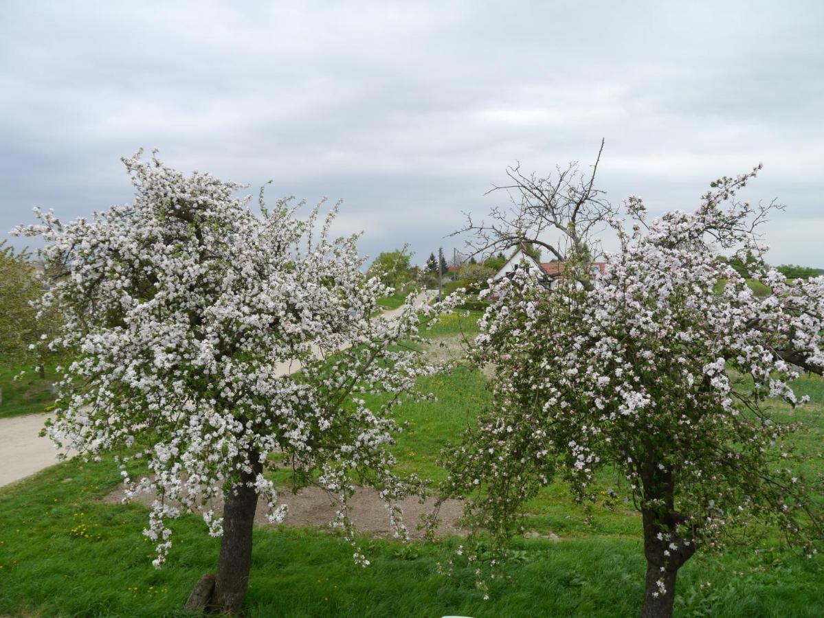 Ferienhaus-Uckermarkblick Rosenow  Buitenkant foto