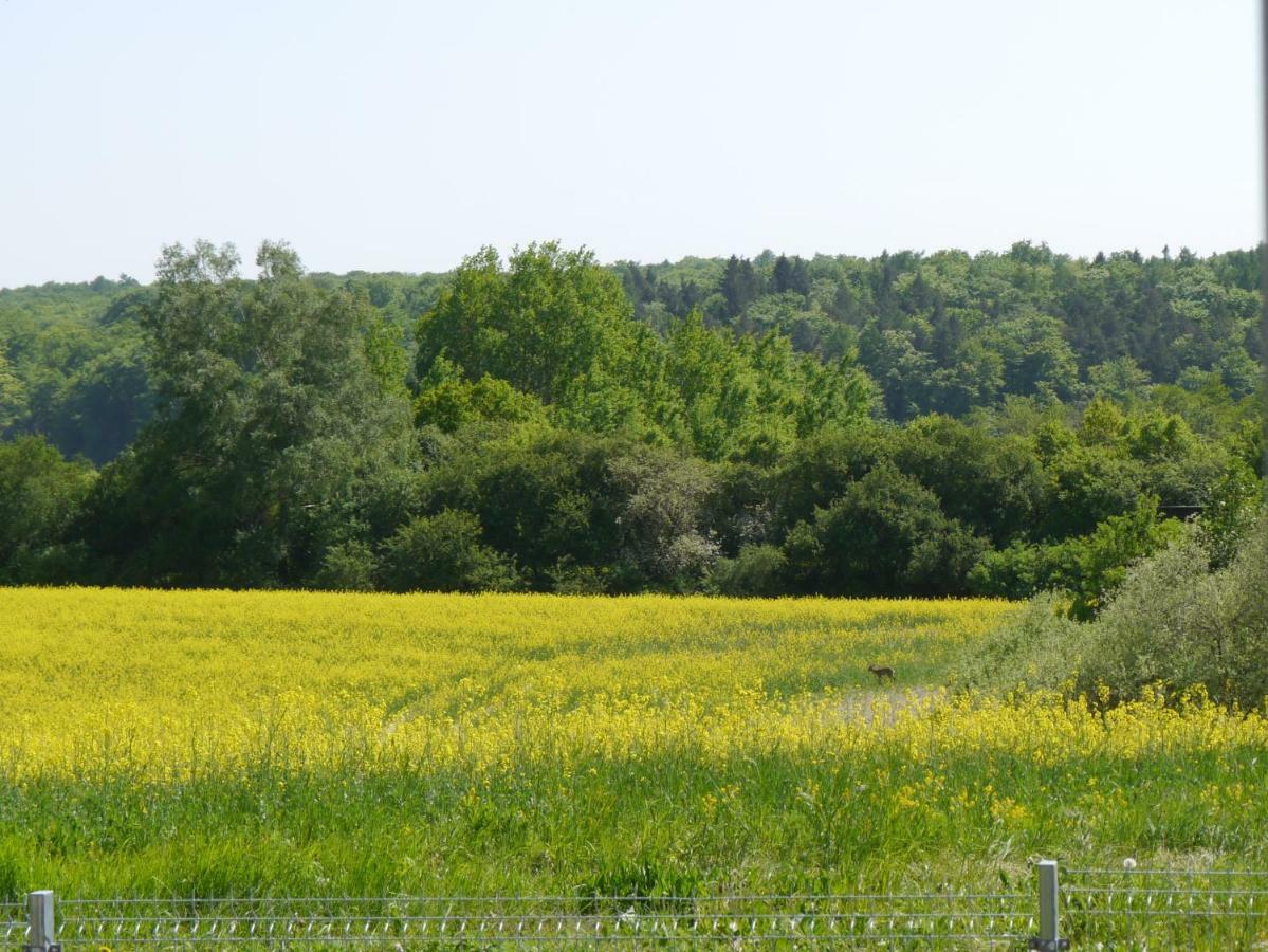 Ferienhaus-Uckermarkblick Rosenow  Buitenkant foto